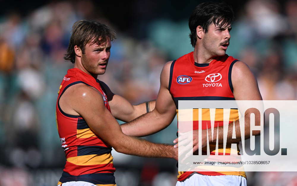 AFL HAWKS CROWS, Darcy Fogarty of the Crows (right) celebrates with ...