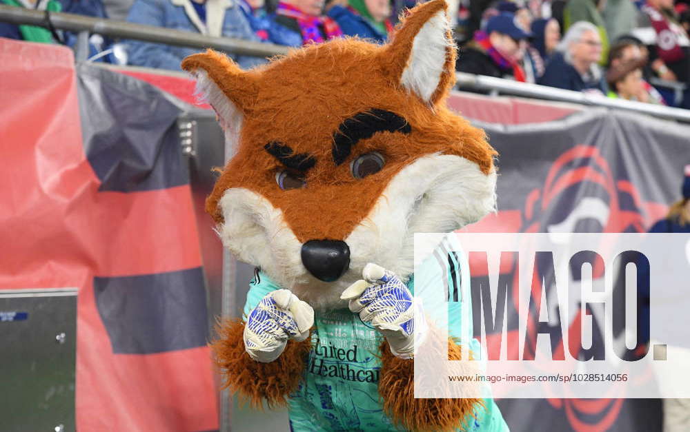 FOXBOROUGH, MA - JUNE 10: Slyde, the New England Revolution mascot