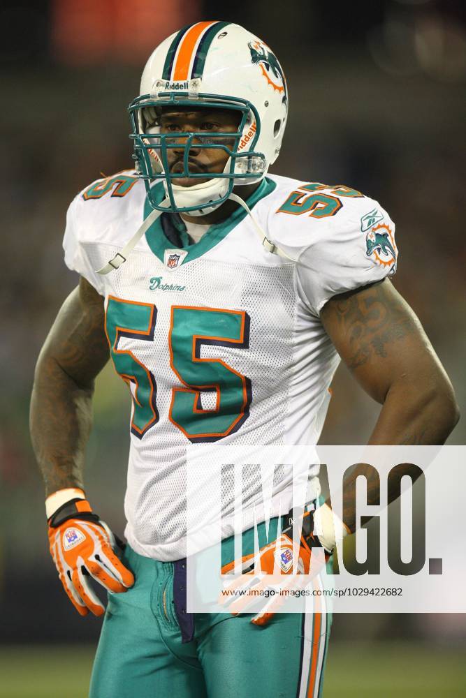 2008 dolphins