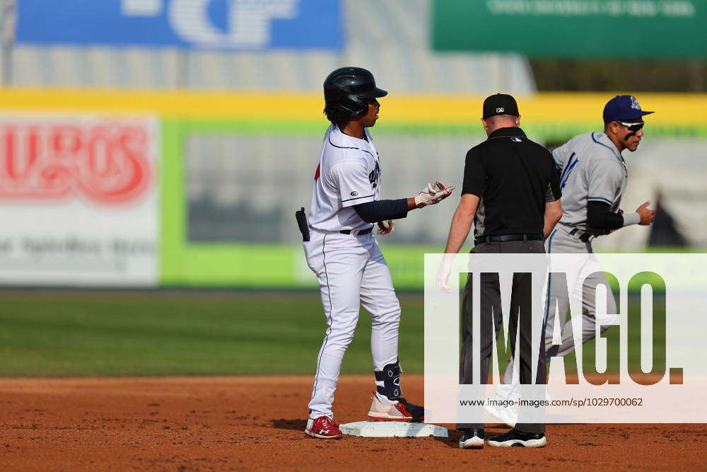 Binghamton Rumble Ponies Baseball