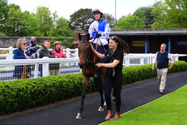 Newtown Races England Newton Abbot Races, Newton Abbot, UK - 20 May 2024 - Race 1 - 2:13 ...