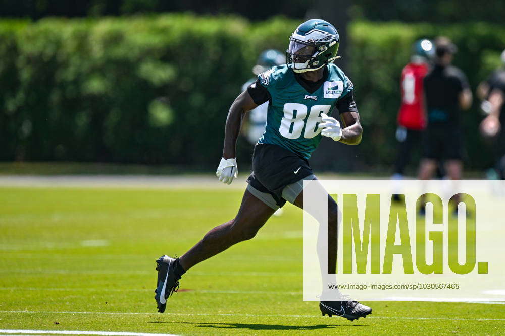 Philadelphia Eagles wide receiver Joseph Ngata (86) in action