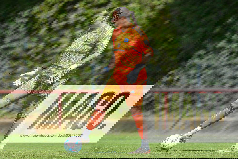 v li Lela Naward goalkeeper, goalkeeper, Hamburger SV, 1 crop, single