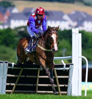 Newtown Races England Newton Abbot Races, Newton Abbot, UK - 14 June 2023 Allez Allez Dancer ...