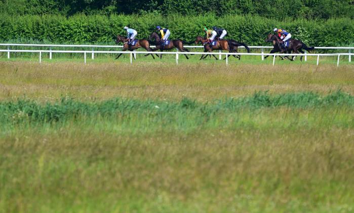 Newtown Races England Newton Abbot Races, Newton Abbot, UK - 14 June 2023 The field make ...