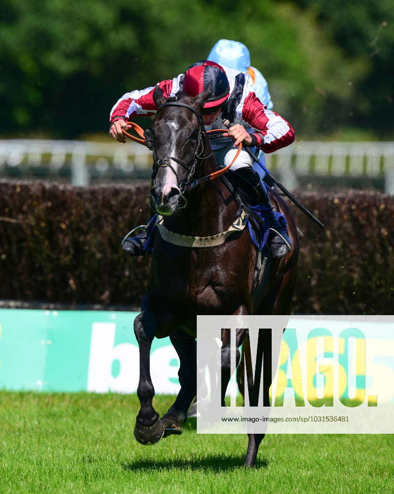 Newtown Races England Newton Abbot Races, Newton Abbot, UK - 7 Julu 2023 Race winner ...