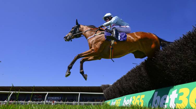 Newtown Races England Newton Abbot Races, Newton Abbot, UK - 7 July 2023 Stepney Causeway ...