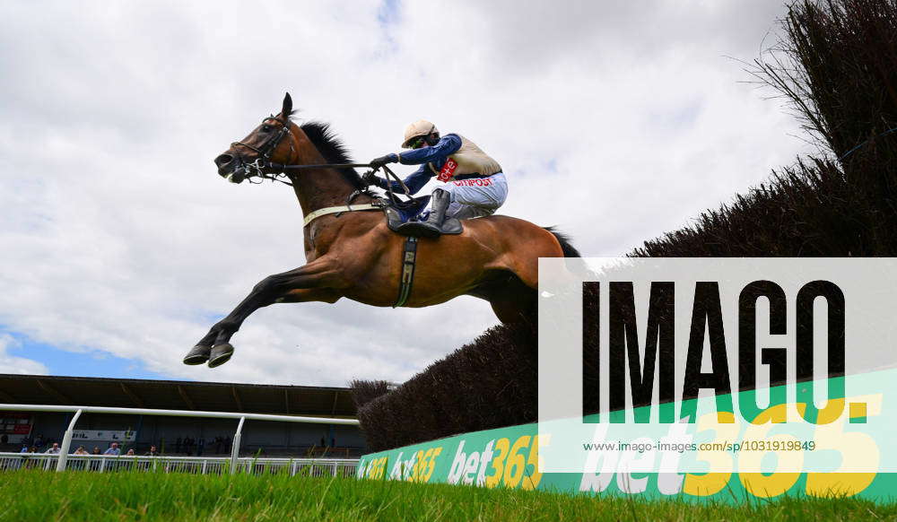 Newton Abbot Races, Newton Abbot, UK - 17 July 2023 Race winner ...