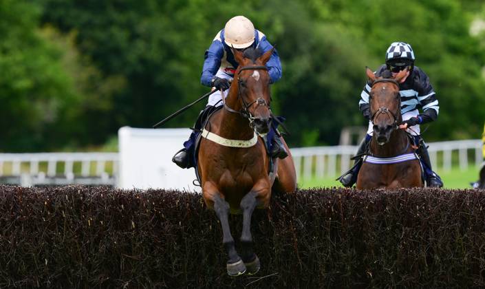 Newton Abbot Races, Newton Abbot, UK - 7 Julu 2023 Race winner ...