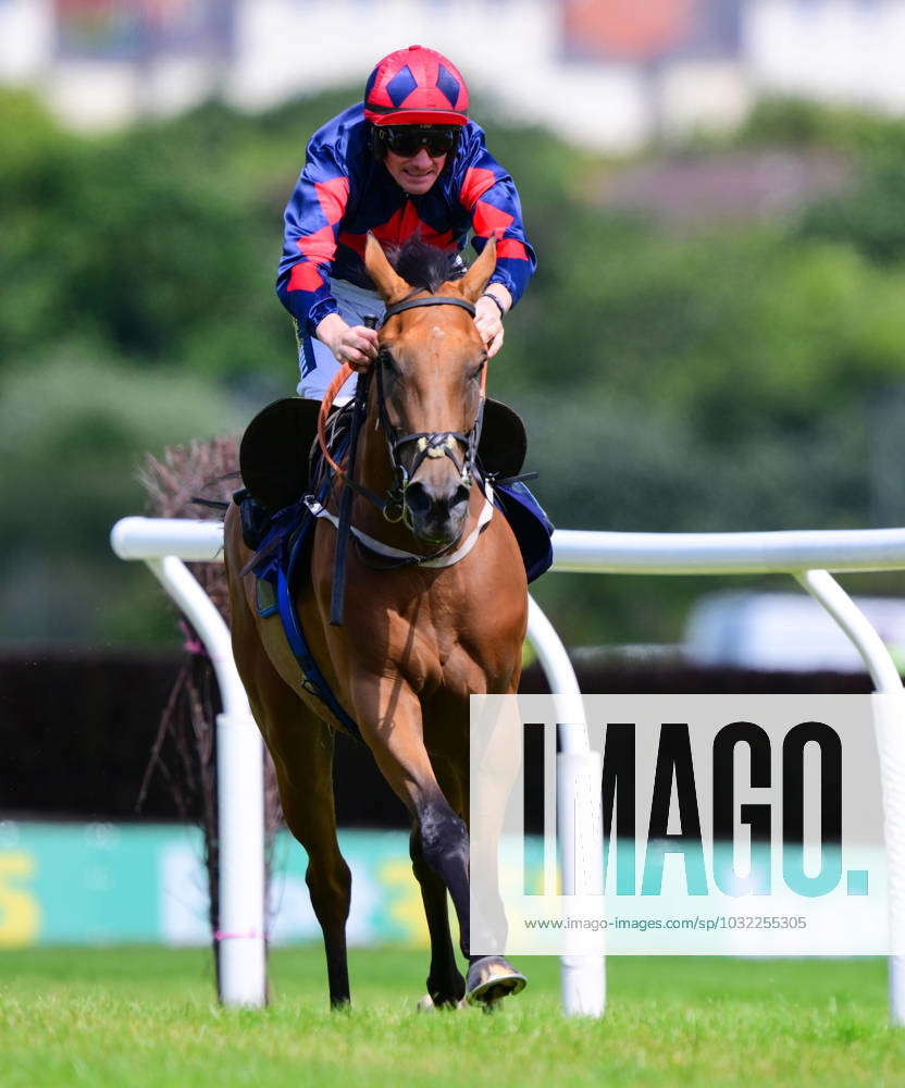 Newton Abbot Races, Newton Abbot, UK - 23 July 2023 Race winner, Max Of ...