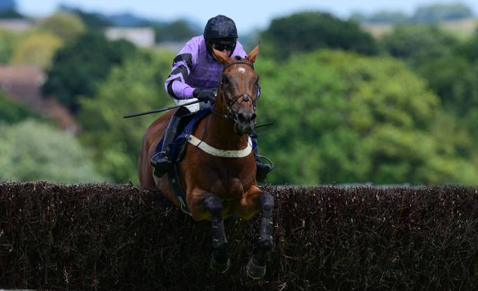 Newtown Races England Newton Abbot Races, Newton Abbot, UK - 23 July 2023 Paris Dixie ridden ...