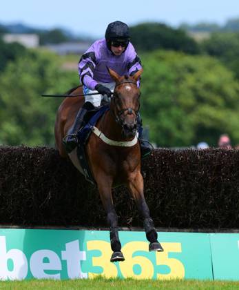 Newtown Races England Newton Abbot Races, Newton Abbot, UK - 23 July 2023 Paris Dixie ridden ...