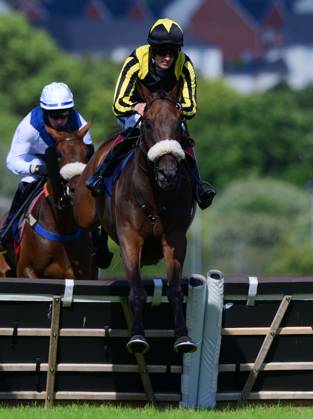 Newtown Races England Newton Abbot Races, Newton Abbot, UK - 23 July 2023 TallyÕs Son ridden ...