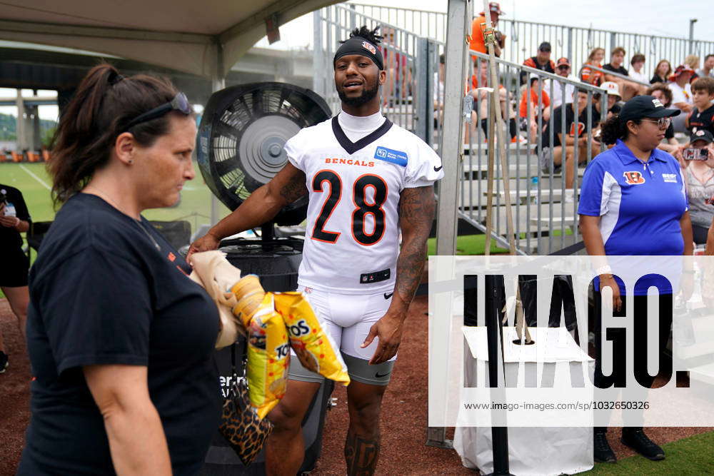 Cincinnati Bengals Training Camp