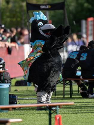 Mascot Dave the Rave Munich Ravens Munich Ravens vs. Barcelona Dragons ...