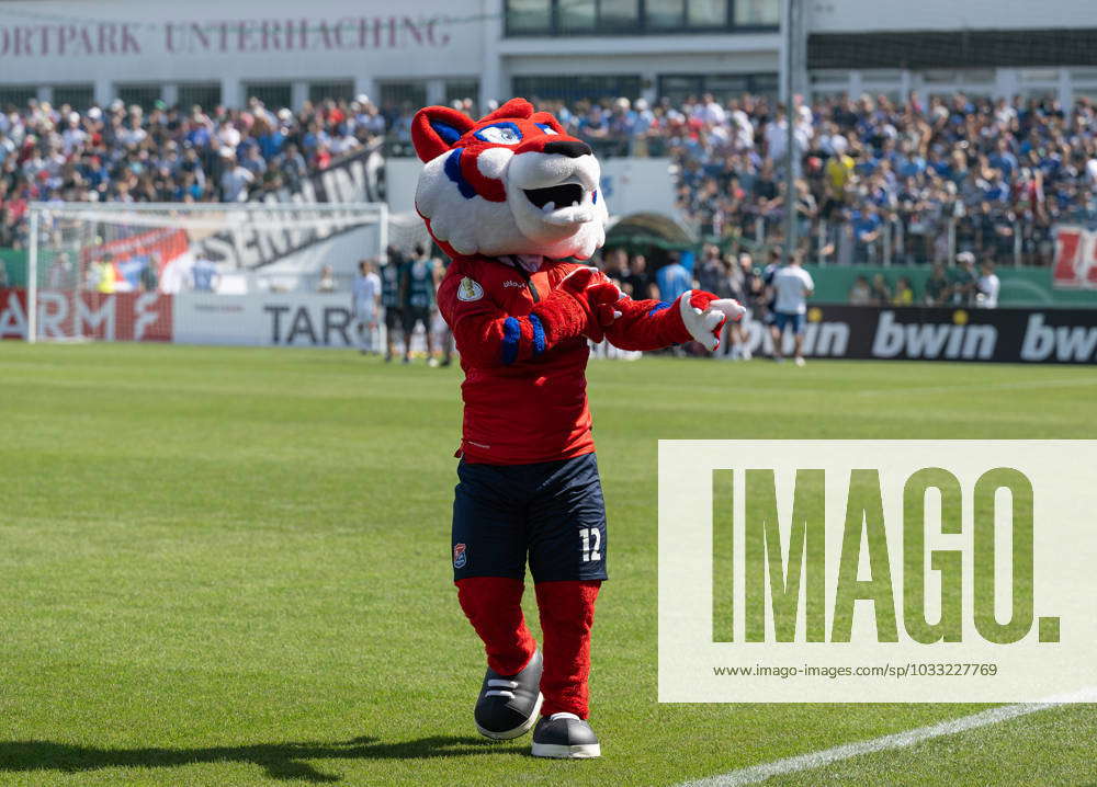 Mascot Fonsi GER, SpVgg Unterhaching Vs FC Augsburg, Football, DFB ...