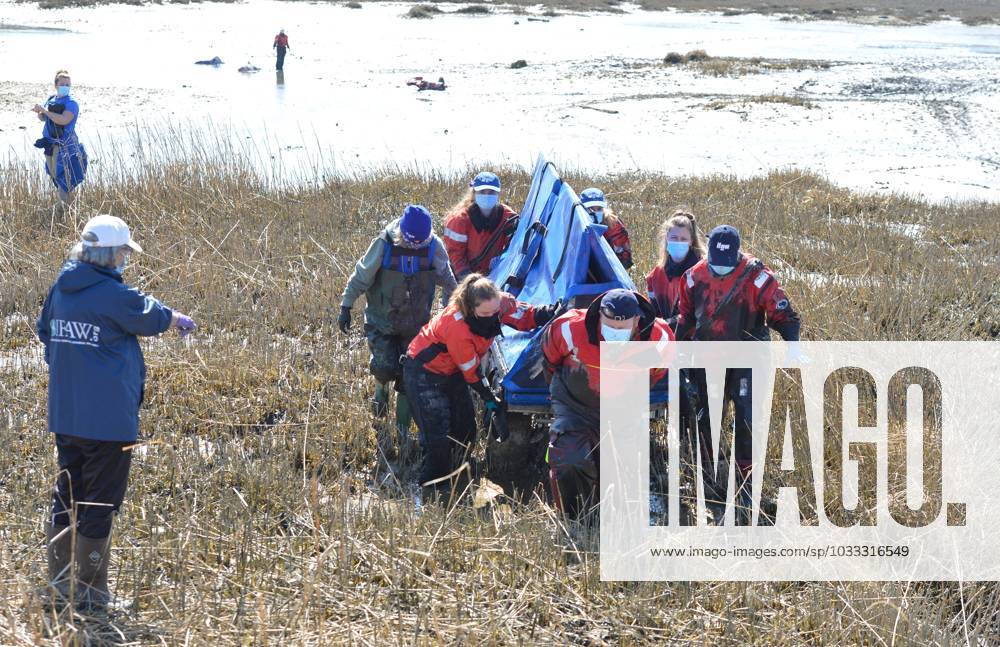 Syndication Cape Cod Times WELLFLEET 03 21 21 International Fund syndication-cape-cod-times-wellfleet-03-21-21-international-fund