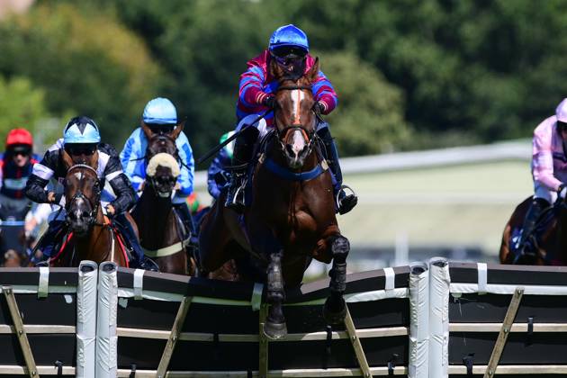Newton Abbot Races, Newton Abbot, UK - 22 Aug 2023 Race Winner, Stepney ...