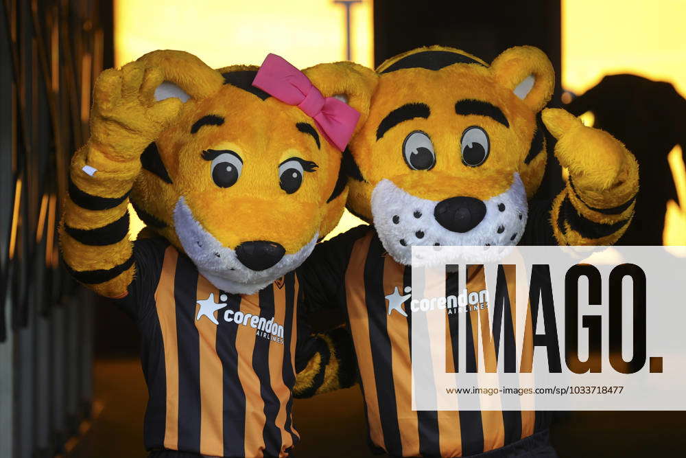 Hull City v Bristol City Sky Bet Championship The mascots before the ...