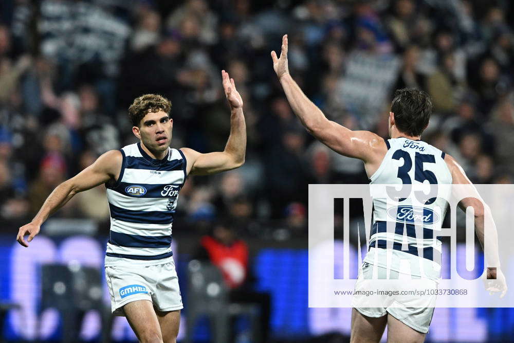 AFL CATS BULLDOGS, Tyson Stengle of Geelong (left) celebrates with team ...