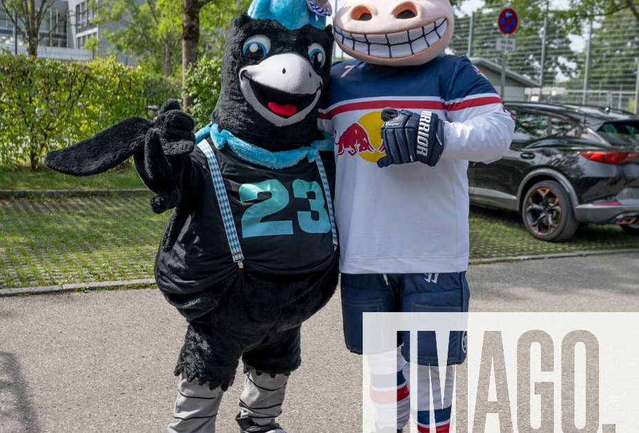 Maskottchen, Munich Ravens, Mascot, Dave the Rave, Maskottchen