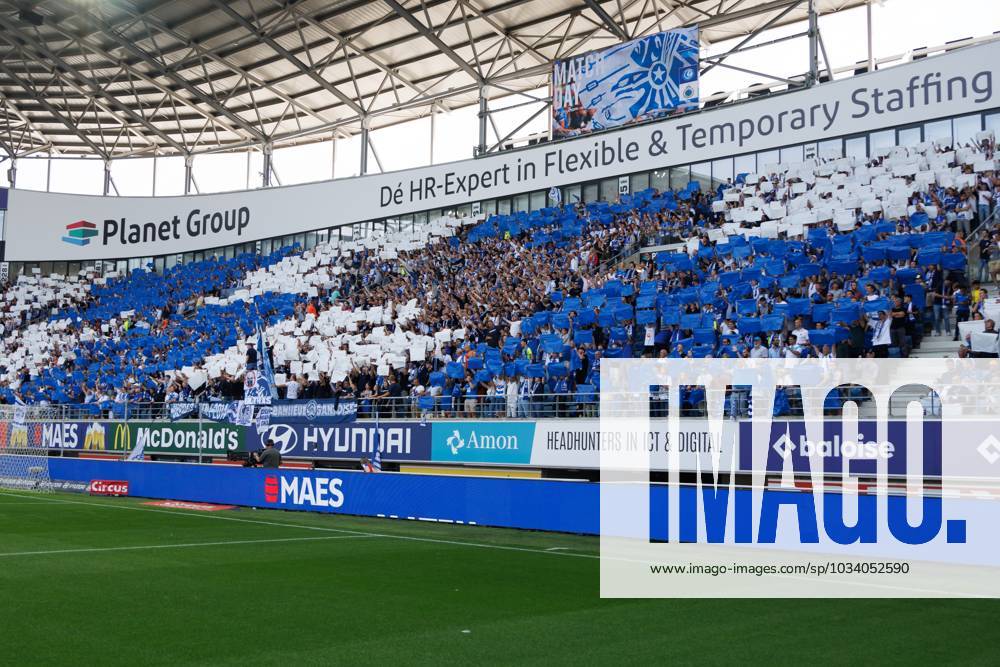 Fans and supporters of Brugge pictured during a soccer game