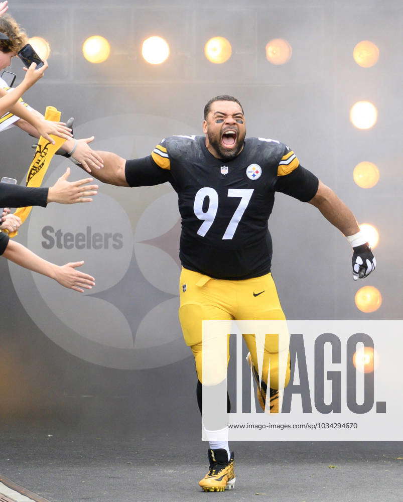 Pittsburgh Steelers defensive tackle Cameron Heyward (97) during