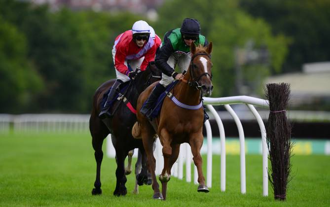 Newtown Races England Newton Abbot Races, Newton Abbot, UK - 11 Sept 2023 Bradford Lady ...