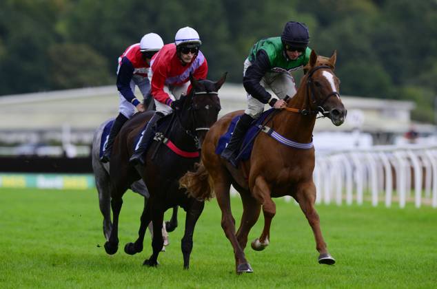 Newton Abbot Races, Newton Abbot, UK - 11 Sept 2023 Bradford Lady ...