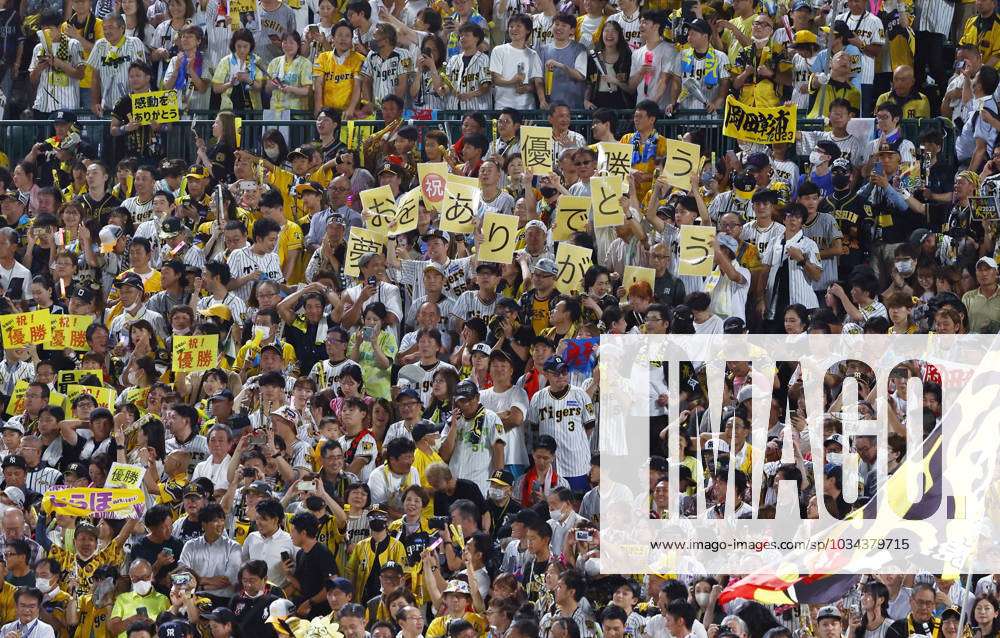 Baseball: Tigers clinch pennant Hanshin Tigers fans celebrate