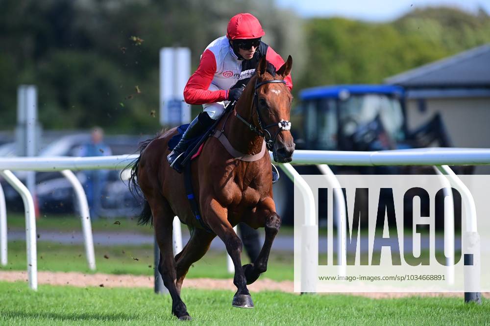 Newtown Races England Newton Abbot Races, Newton Abbot, UK - 22 Sep 2023 Race Winner, Outlaw ...
