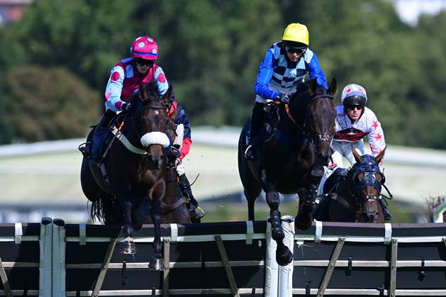 Newtown Races England Newton Abbot Races, Newton Abbot, UK - 22 Sep 2023 Honey IÕm Good ...