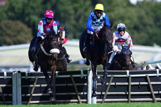 Newtown Races England Newton Abbot Races, Newton Abbot, UK - 22 Sep 2023 Honey IÕm Good ...