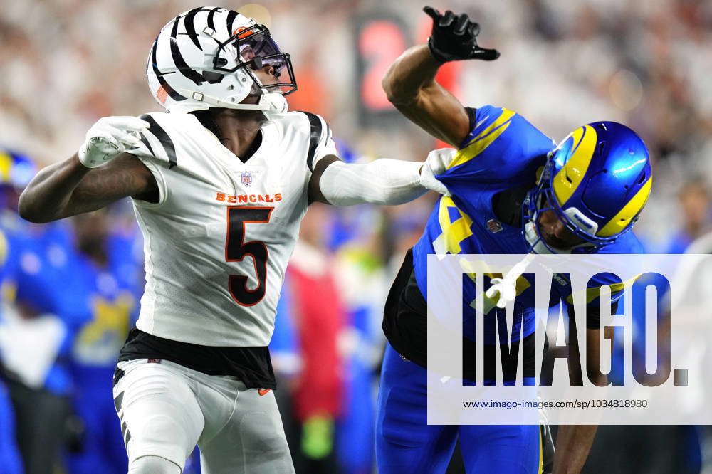 NFL, American Football Herren, USA Los Angeles Rams at Cincinnati