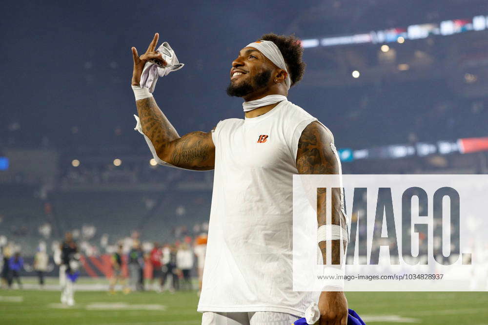 Cincinnati Bengals running back Trayveon Williams (32) celebrates