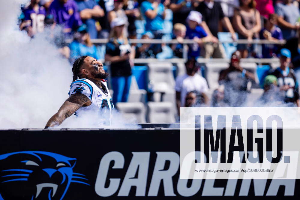 Carolina Panthers linebacker Frankie Luvu (49) looks on during an