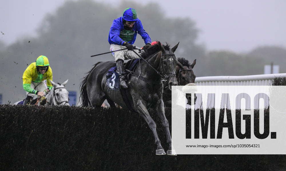 Newtown Races England Newton Abbot Races, Newton Abbot, UK - 2 Oct 2023 Race winner, Jet ...