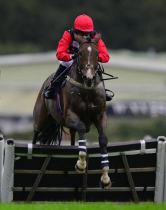 Newton Abbot Races, Newton Abbot, UK - 2 Oct 2023 Idilico ridden by ...