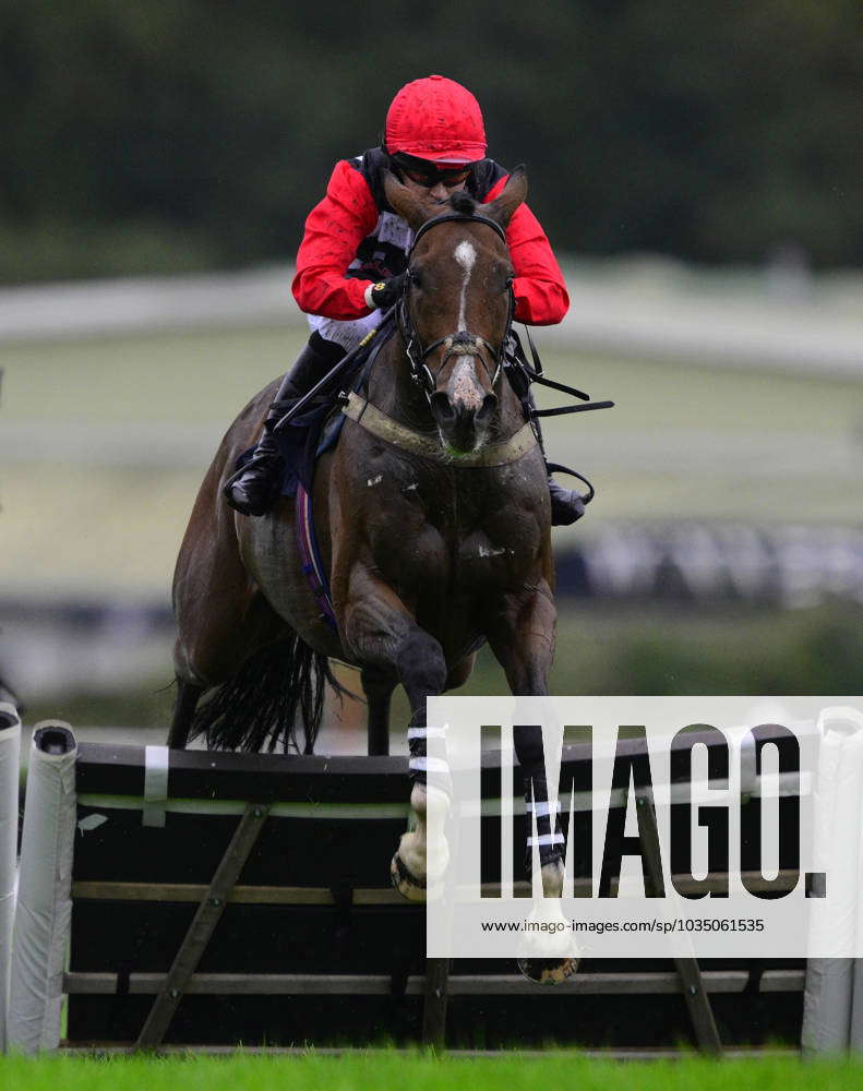 Newton Abbot Races, Newton Abbot, UK - 2 Oct 2023 Idilico ridden by ...