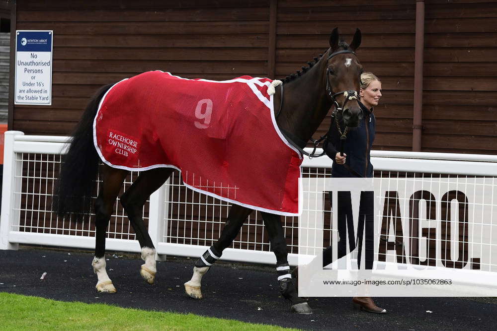 Newton Abbot Races, Newton Abbot, UK - 2 Oct 2023 No Mean Feat walking ...