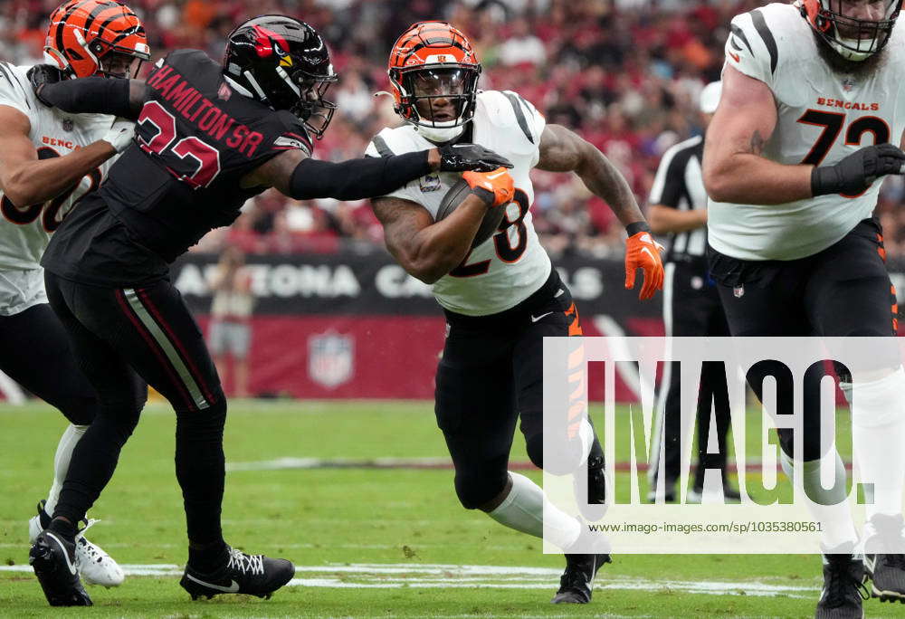 Photos: Arizona Cardinals vs. Cincinnati Bengals