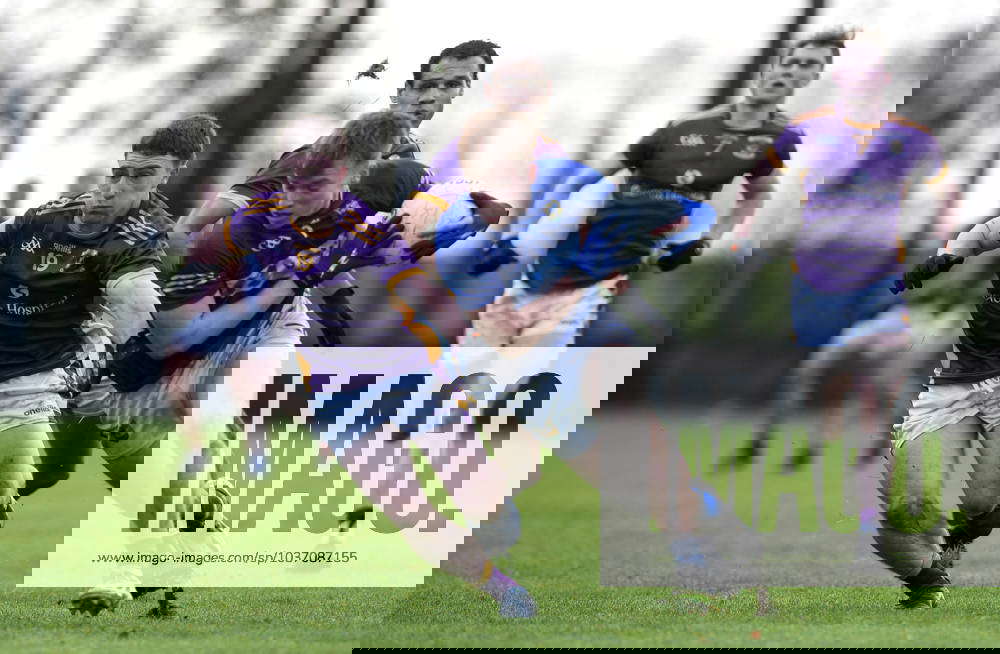 Aib gaa leinster senior club football championship semi final ardee