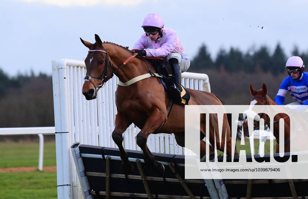 Exeter Races, Exeter, UK 31 Jan 2024 Hercules Morse ridden by Ben Jones. Race 7 445 Exeter