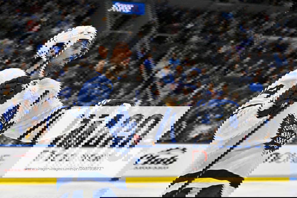 nhl-eishockey-herren-usa-toronto-maple-leafs-at-st-louis-blues-feb