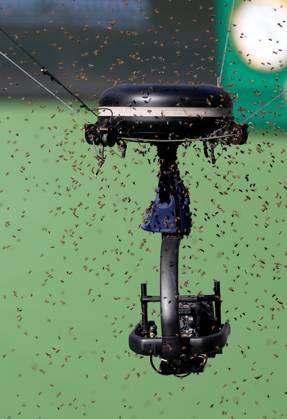 Spider cam is surrounded by a swarm of bees BNP Paribas Open, Tennis, Day  9, Indian Wells Tennis