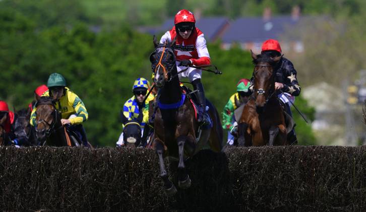 Newtown Races England Newton Abbot Races, Newton Abbot, UK - 20 May 2024 Race Winner, Time To ...