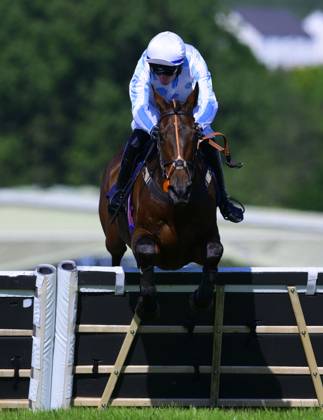 Newtown Races England Newton Abbot Races, Newton Abbot, UK - 20 May 2024 Angus De Bull ridden ...