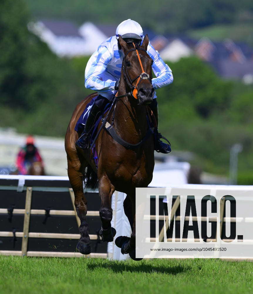 Newton Abbot Races, Newton Abbot, UK - 20 May 2024 Angus De Bull ridden ...