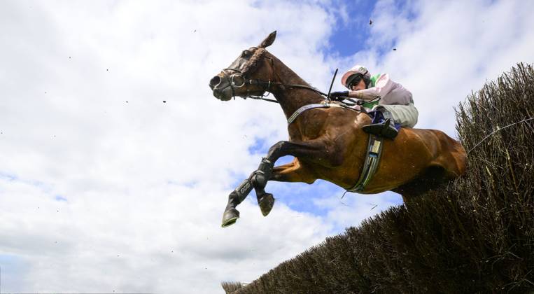 Newtown Races England Newton Abbot Races, Newton Abbot, UK - 29 May 2024 Mr Sociable ridden ...