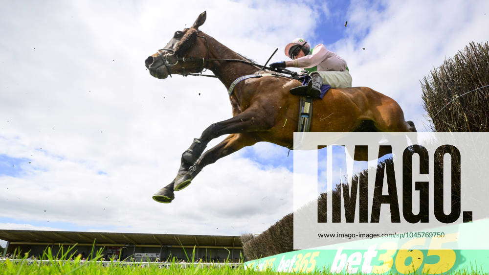 Newtown Races England Newton Abbot Races, Newton Abbot, UK - 29 May 2024 Mr Sociable ridden ...